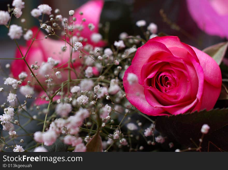 Fallen bouquet of flowers with a pinky-white rose on a foreground. Fallen bouquet of flowers with a pinky-white rose on a foreground