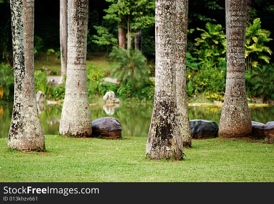 Beautiful scene of tropical garden in Xi Shuang Ban Na in Yunnan province of China.