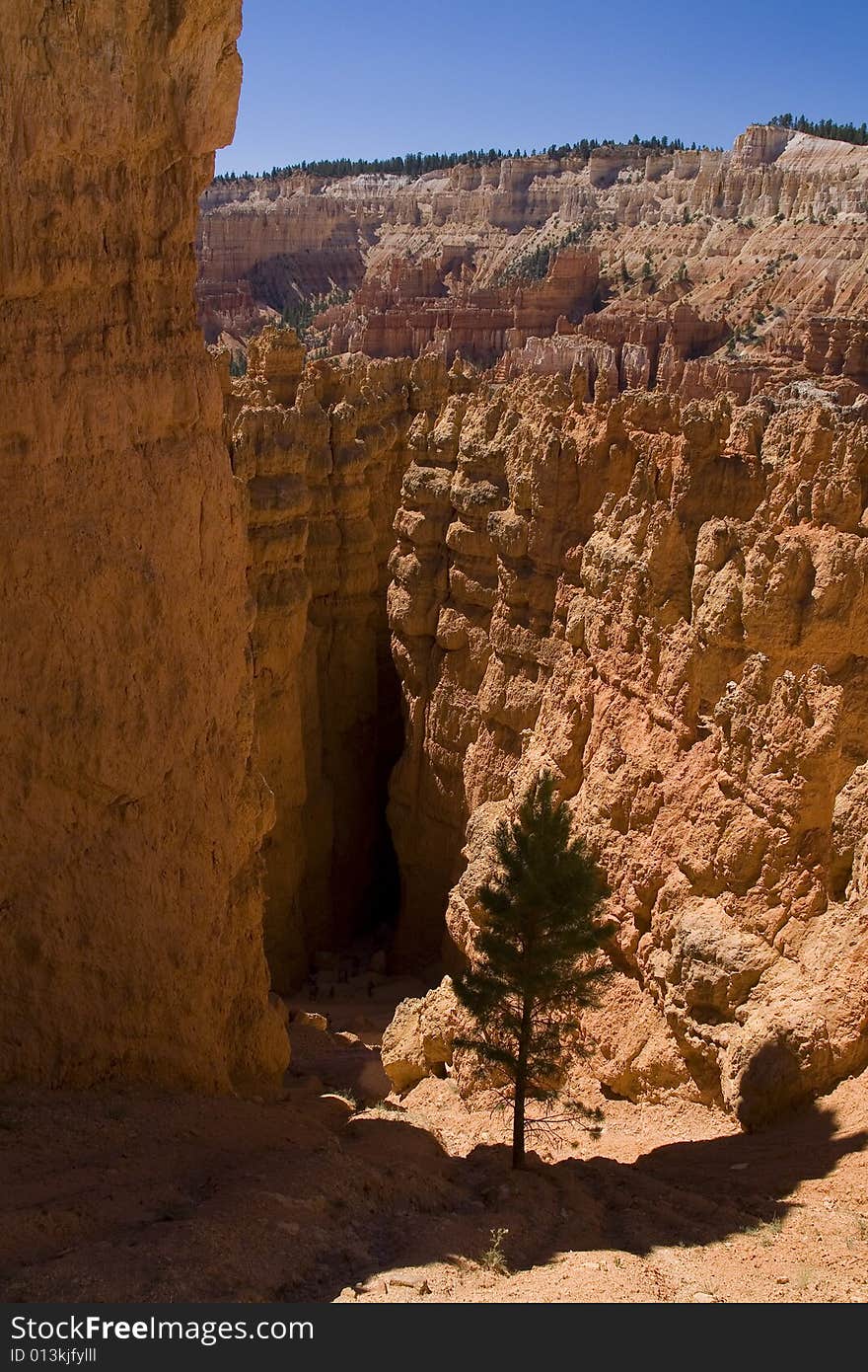 Bryce Canyon