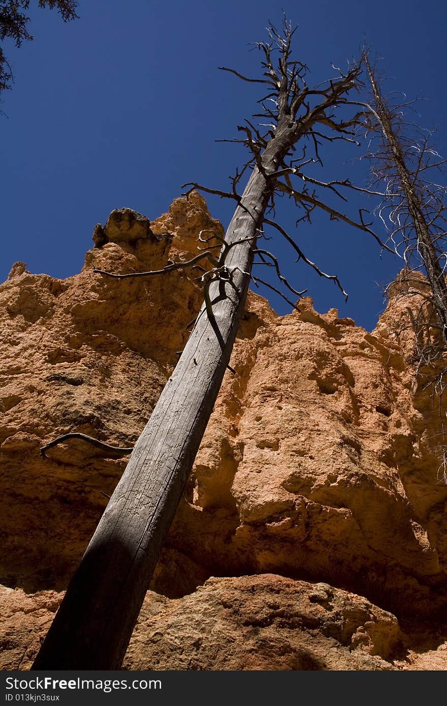 Bryce Canyon