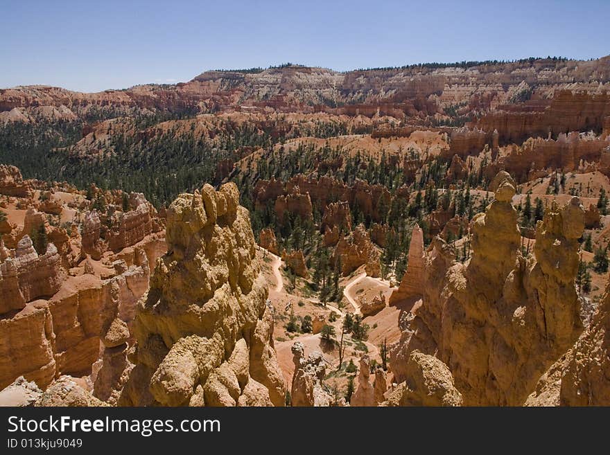 Spires, hoodoos, and trees at Bryce Canyon