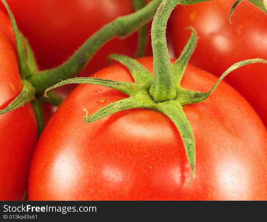 Close up tomato stem  and fruit. Close up tomato stem  and fruit