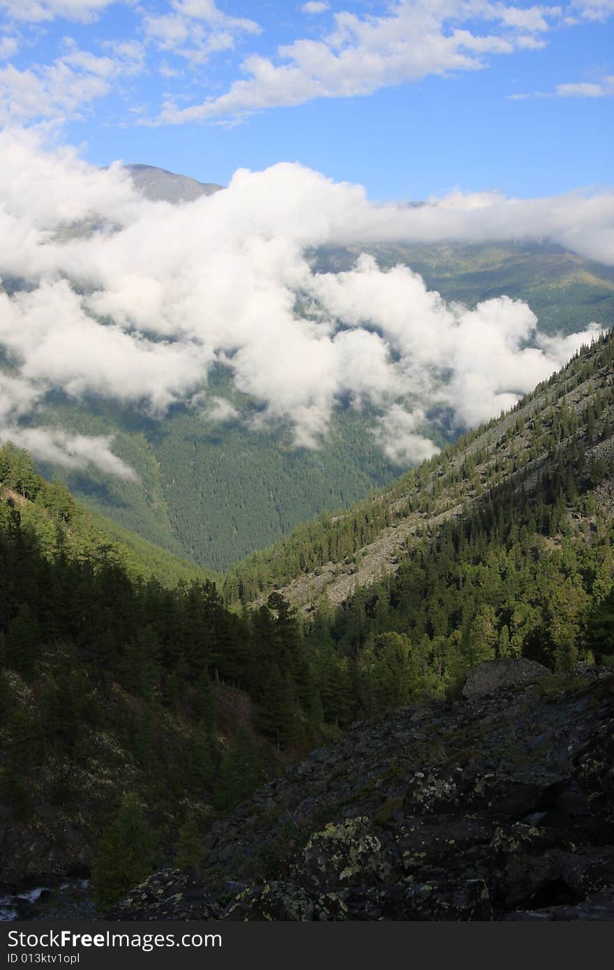 Altai Mountain in summer