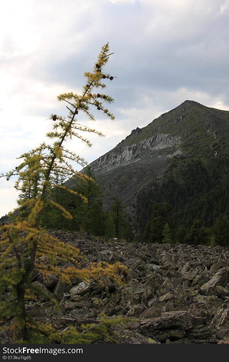 Altai Mountain in summer