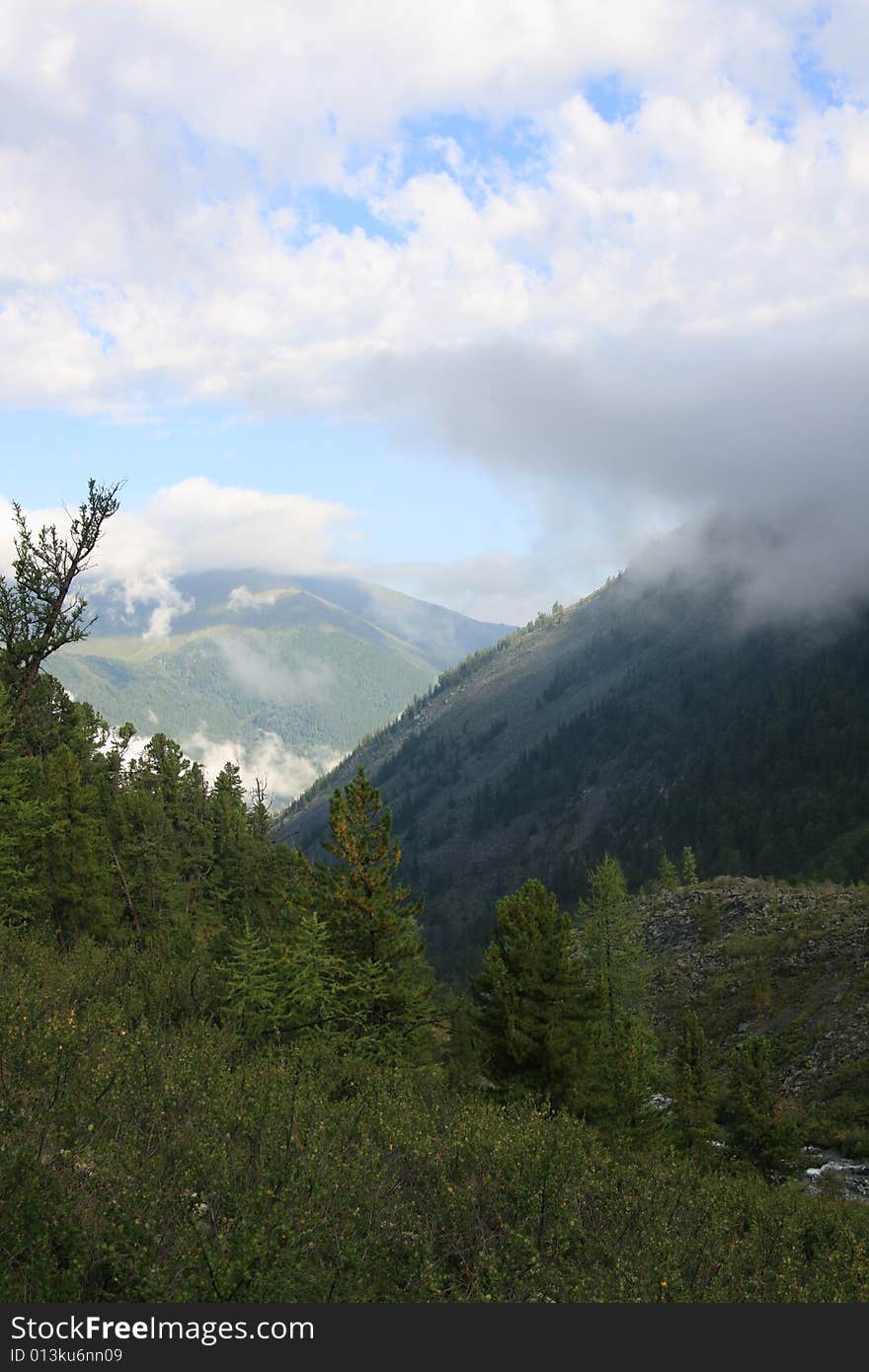 Altai Mountain in summer