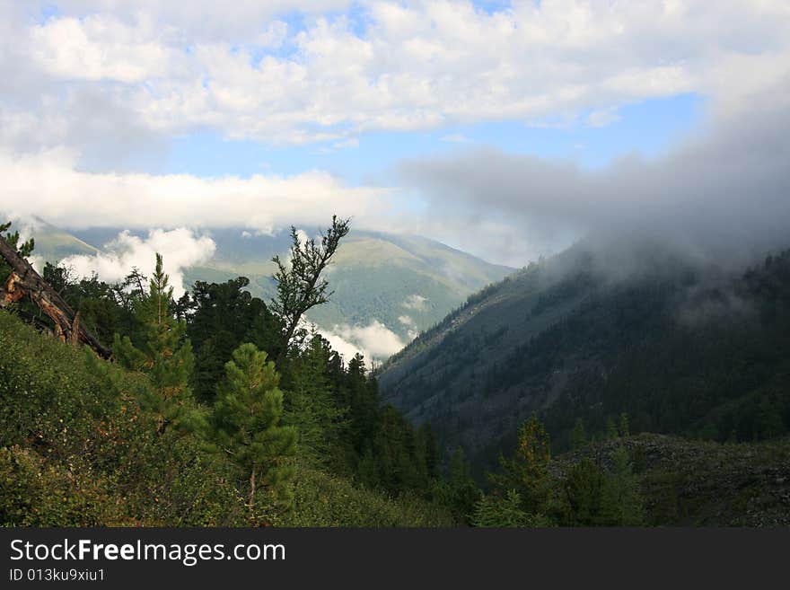 Altai Mountain in summer