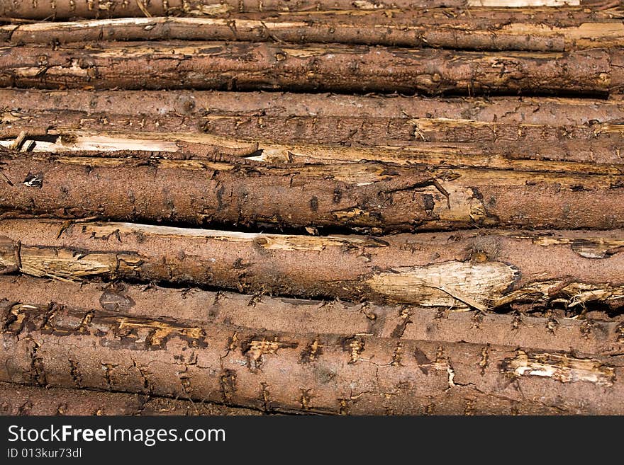 Wood tree trunks. Background texture. Wood tree trunks. Background texture.