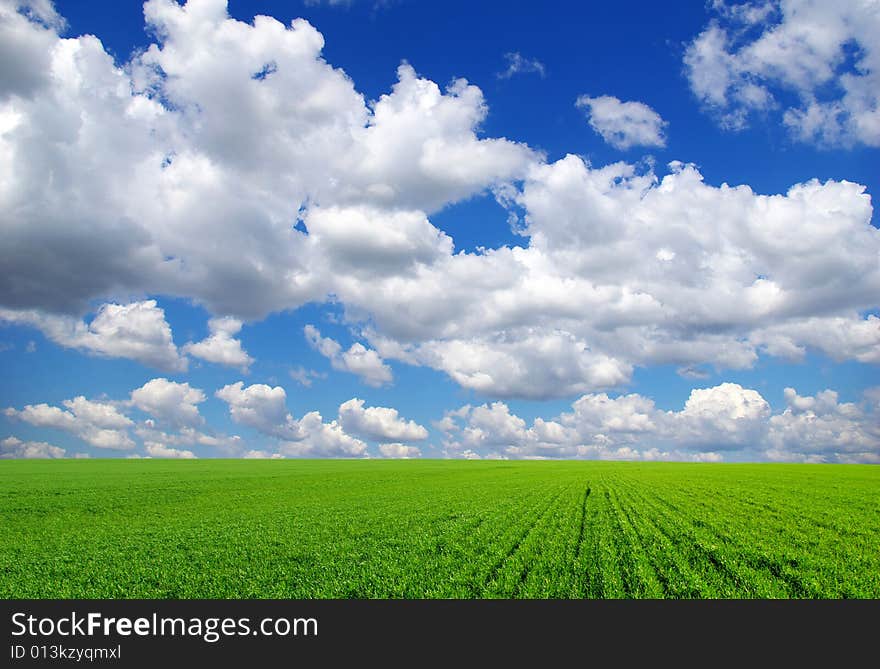 Field on a background of the blue sky. Field on a background of the blue sky