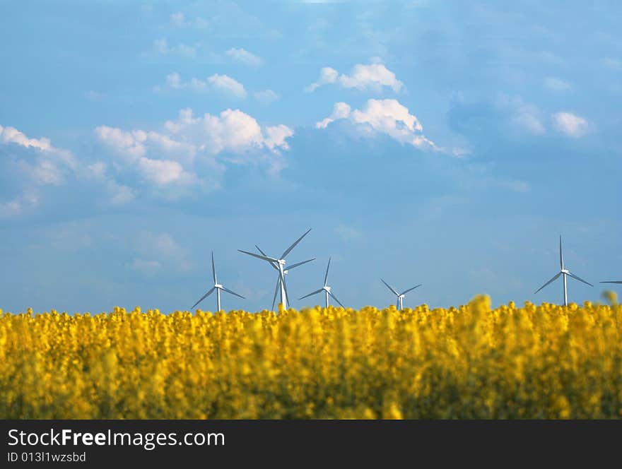 Big windmills on the yellow meadow. Big windmills on the yellow meadow