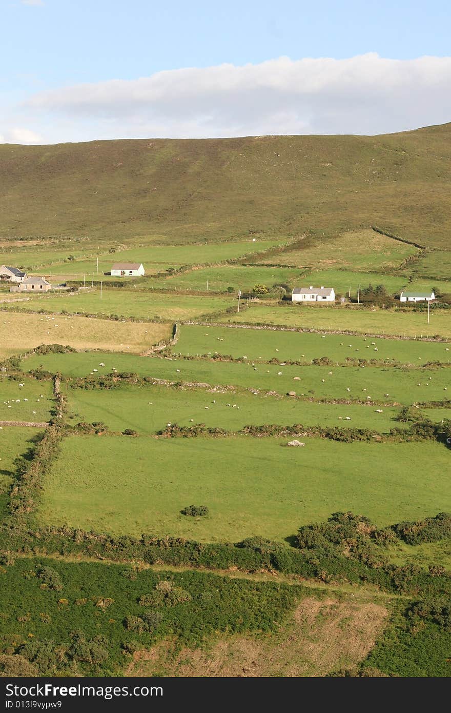 Irish farmland