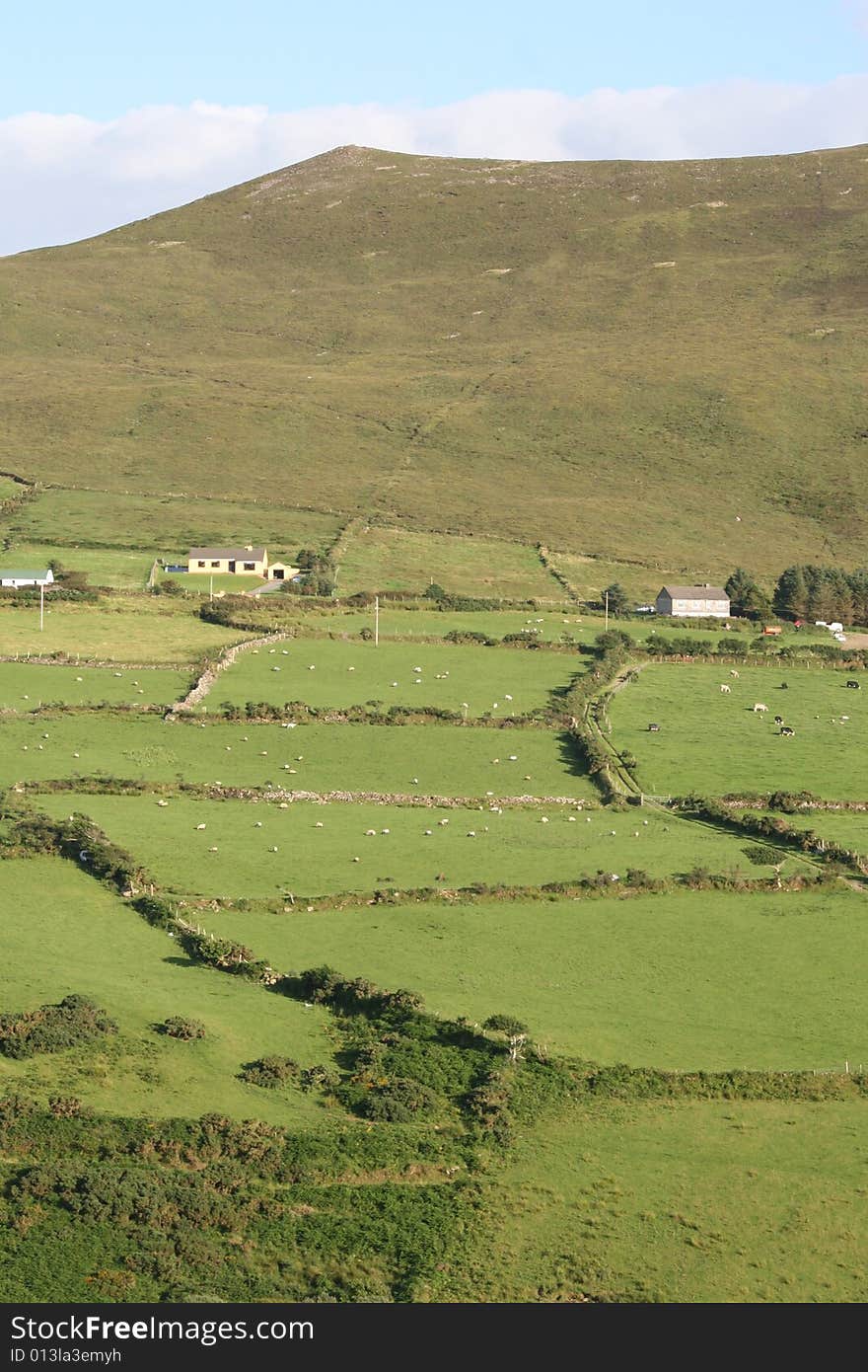 Irish farmland