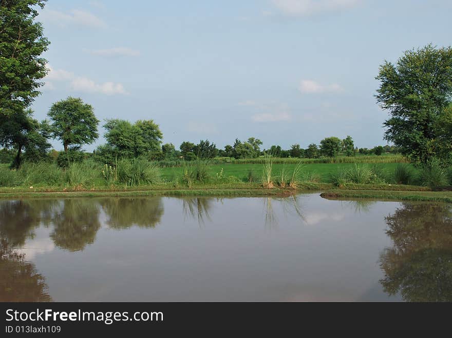 A lake among green fields