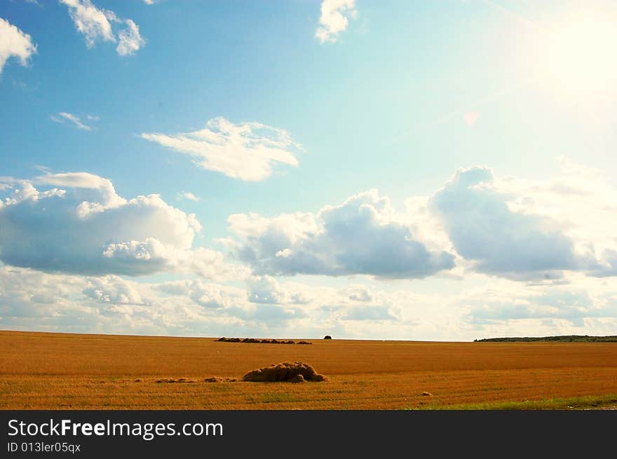 Nature by day, the clouds, the gras