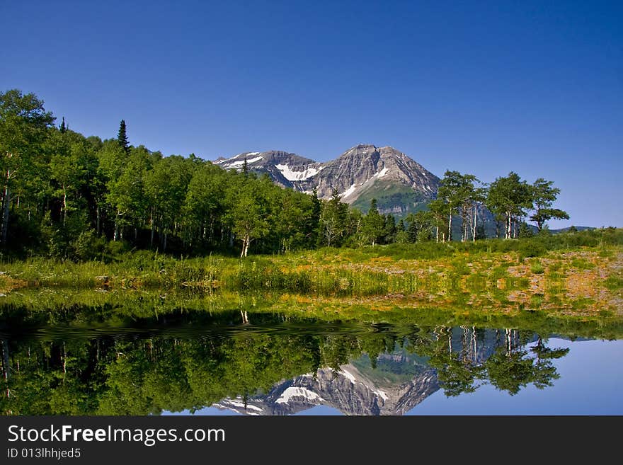 Mountain Reflections