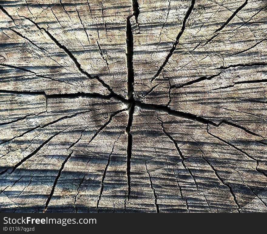 Wooden texture