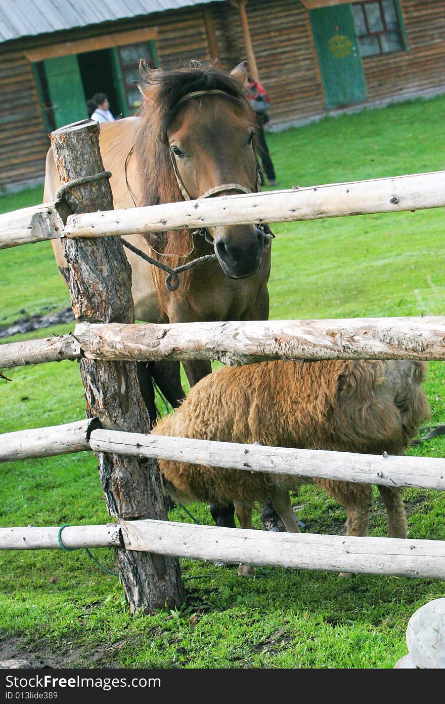 The  horse in the rest Inn