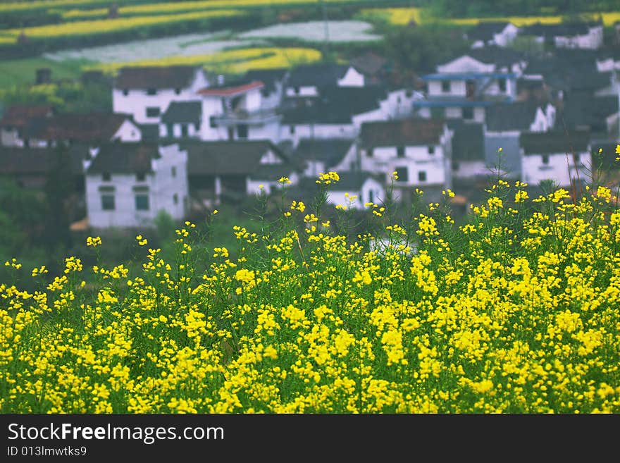 This is a village in the spring