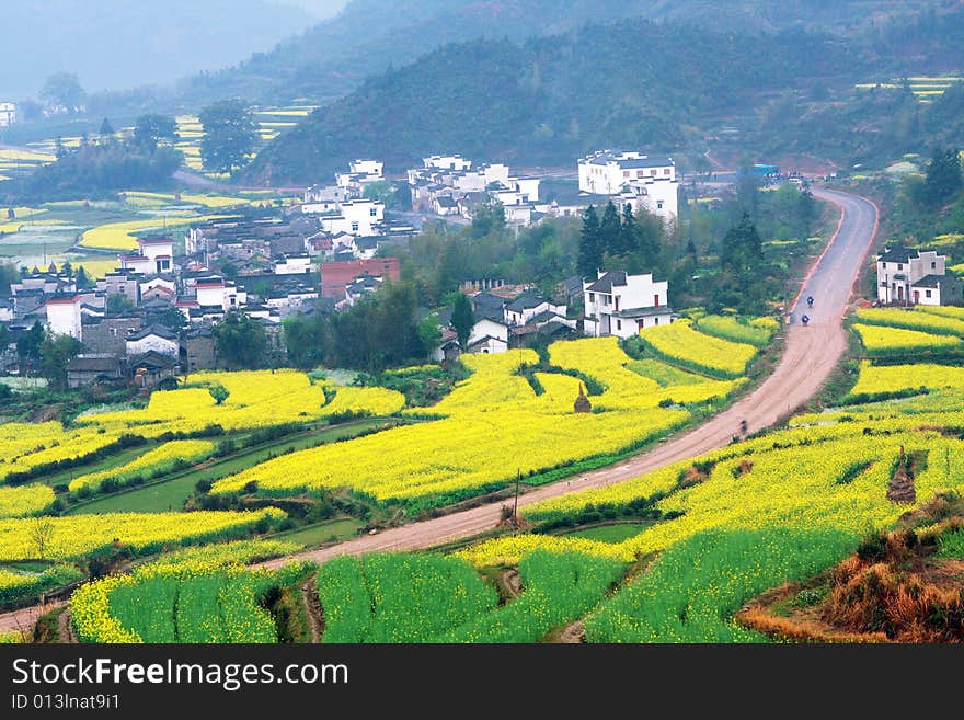 This is a chinese village in the spring. This is a chinese village in the spring