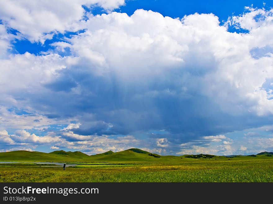 Meadow,blue sky