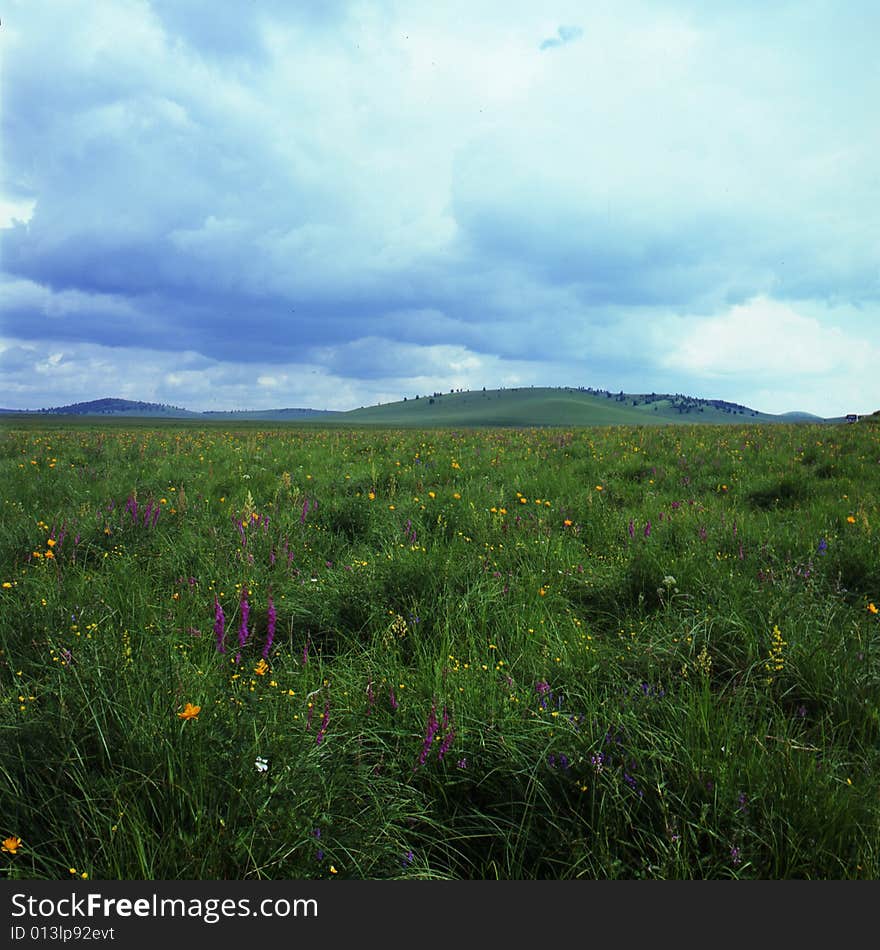 A very beautiful grassland named Bashang