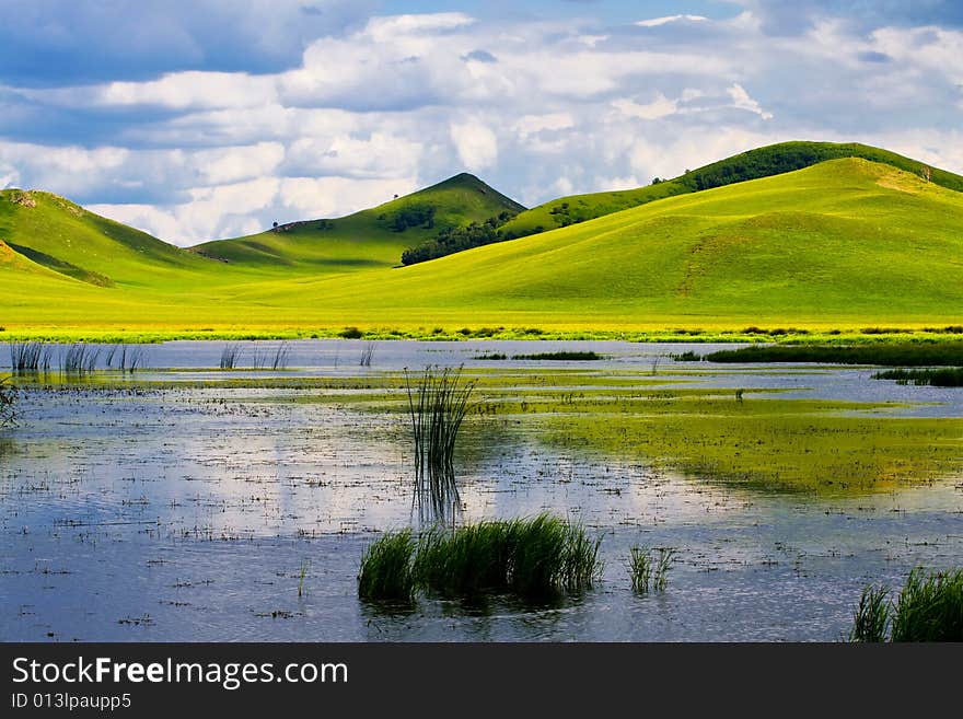 Meadow,blue sky ,lake