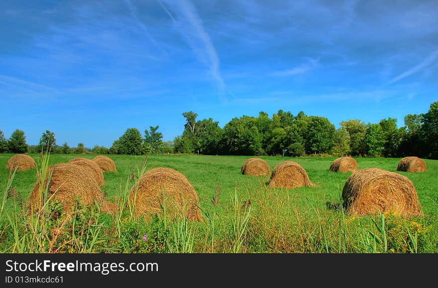 Hay in autumn