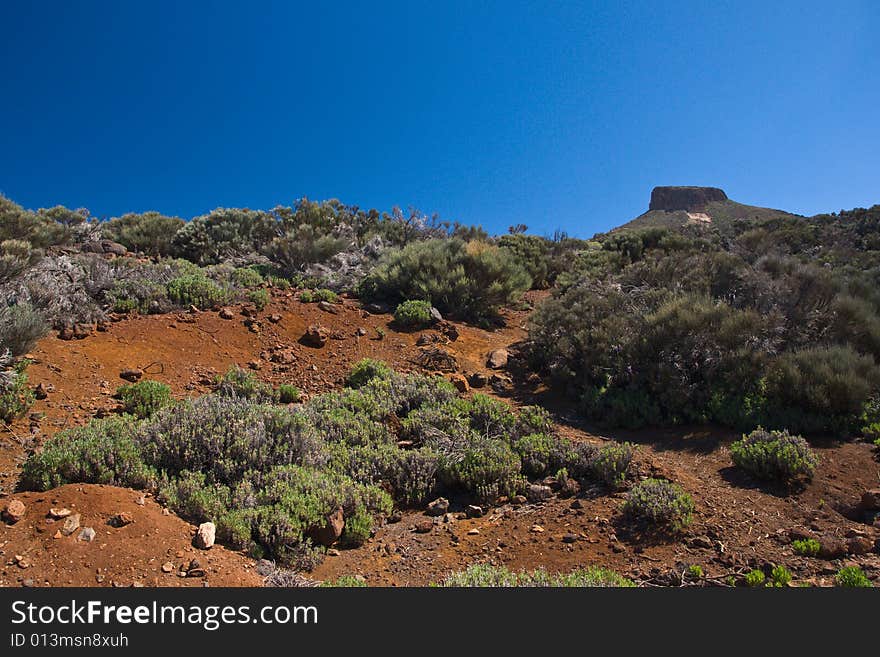 Red soil