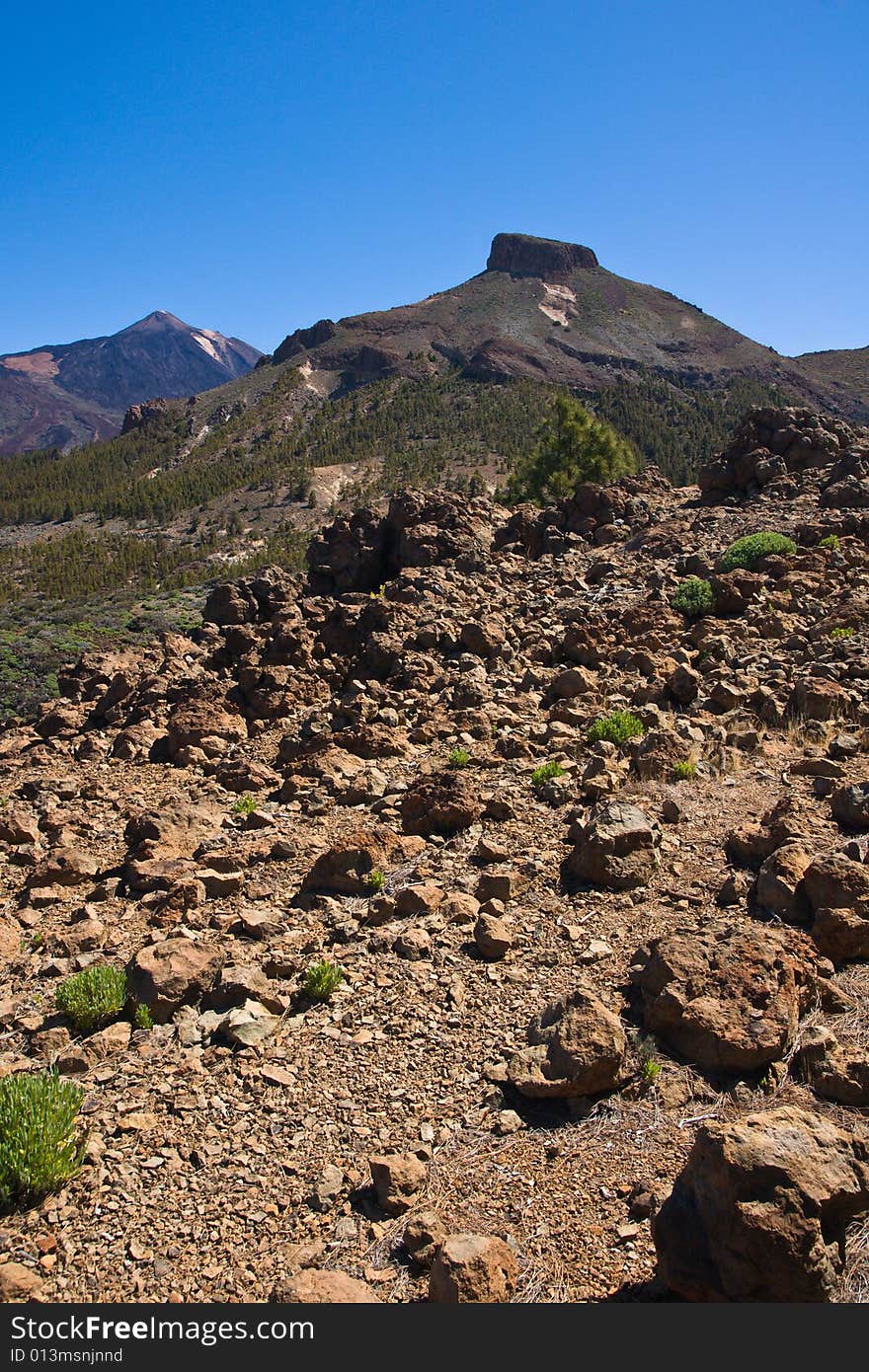 Parque Nacional del Teide, Tenerife, Spain. Teide in background. Parque Nacional del Teide, Tenerife, Spain. Teide in background.