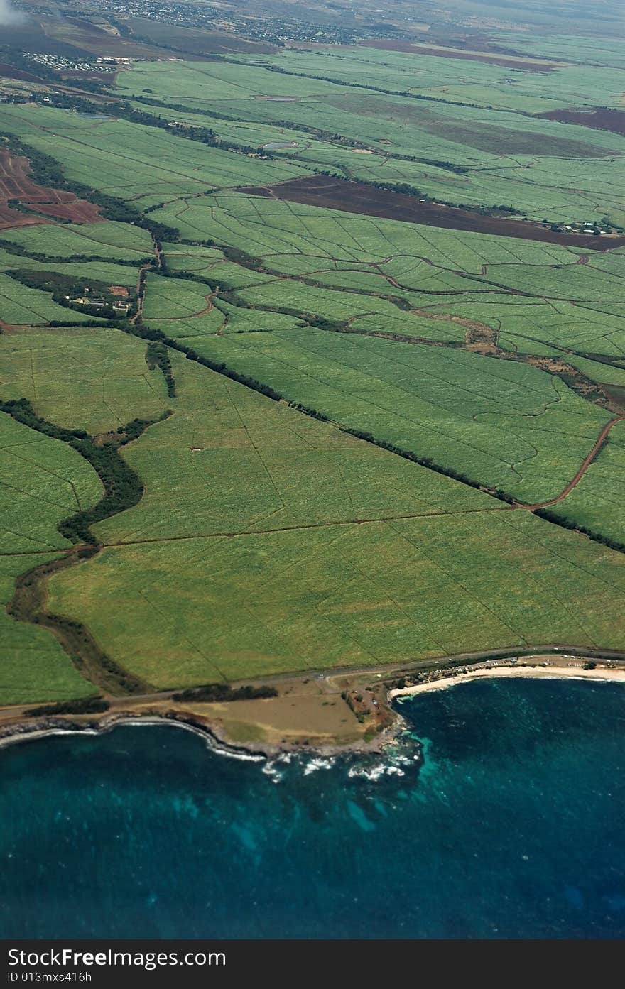 An overhead view of green farmland fields in Hawaii with the blue ocean shoreline