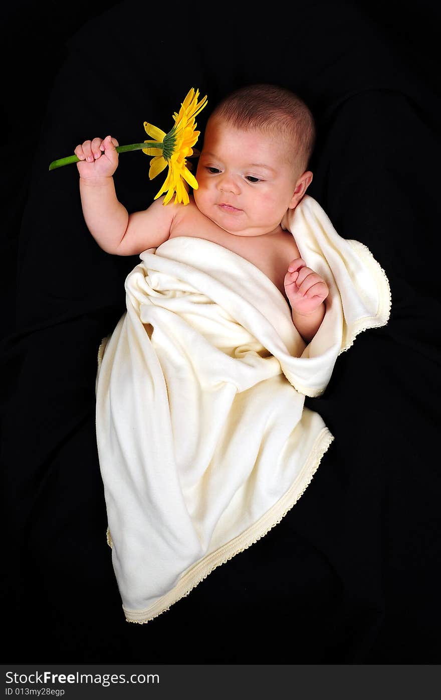 A little cute baby portrait with yellow flower. A little cute baby portrait with yellow flower