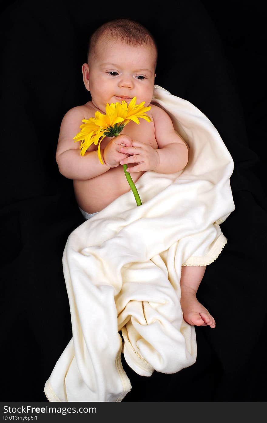 A little cute baby portrait with yellow flower. A little cute baby portrait with yellow flower