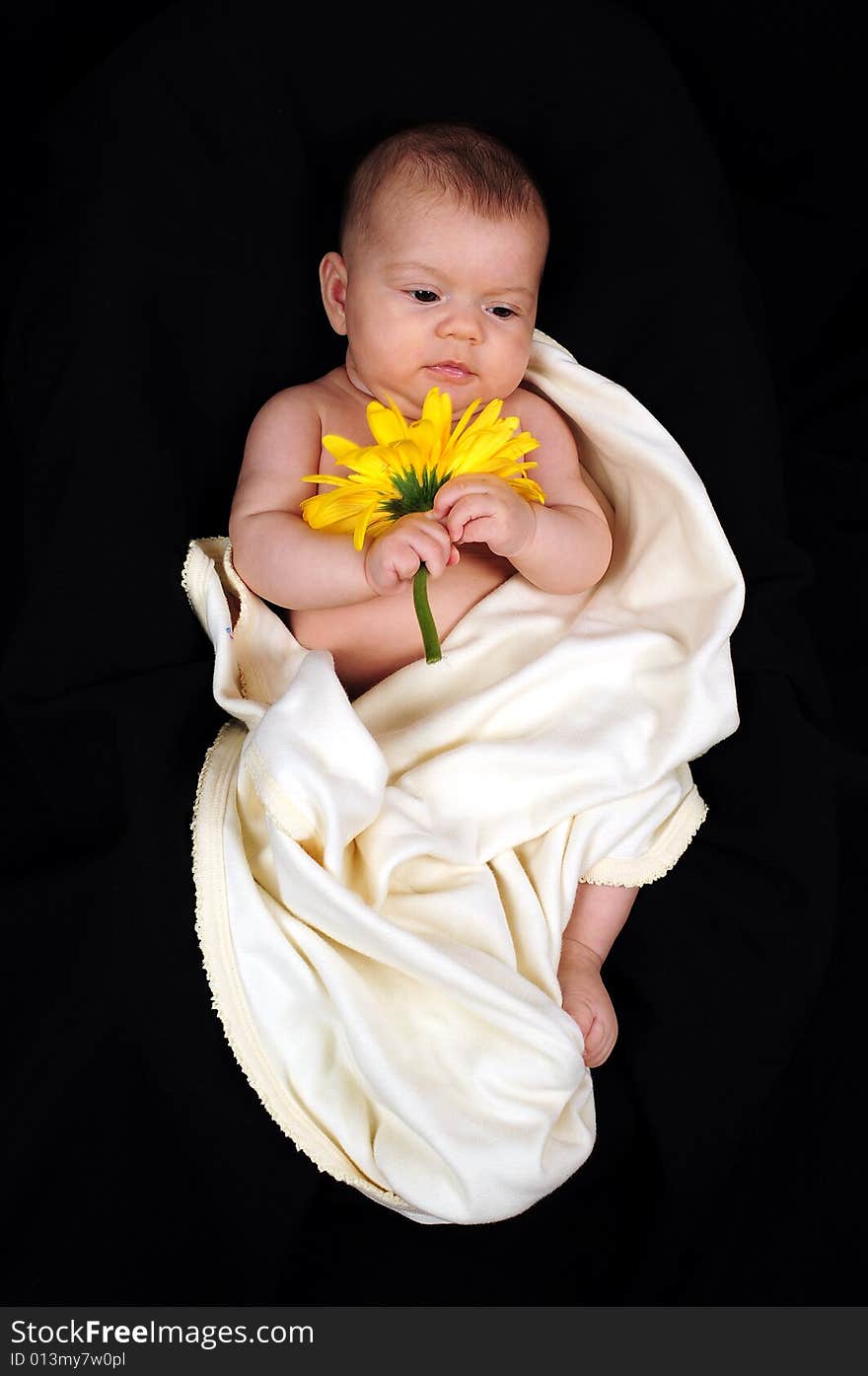 A little cute baby portrait with yellow flower. A little cute baby portrait with yellow flower