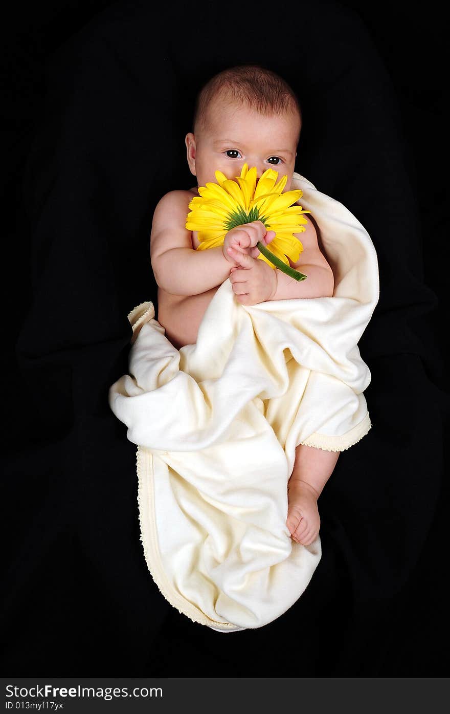 A little cute baby portrait with yellow flower. A little cute baby portrait with yellow flower