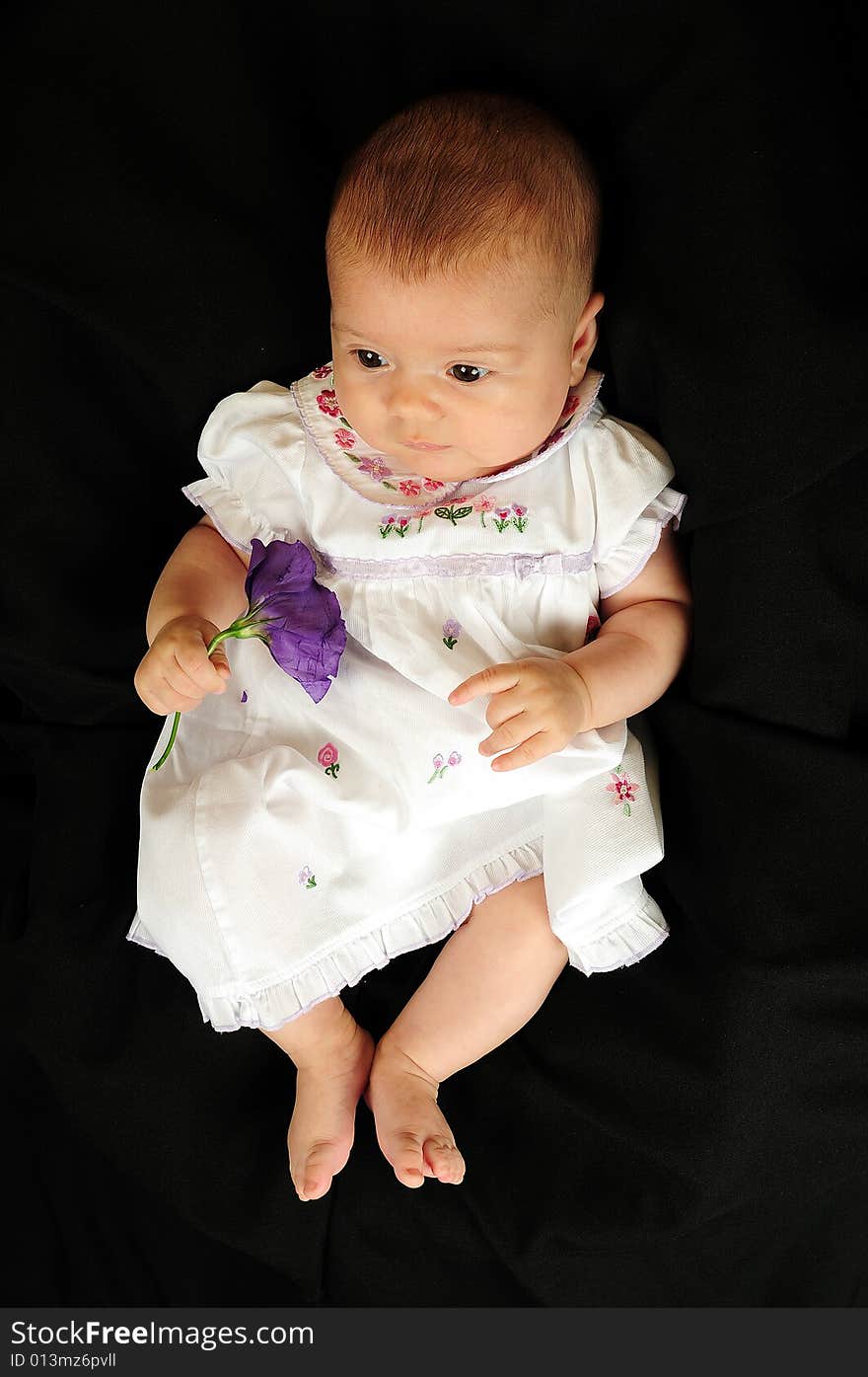 A little cute baby portrait with flower. A little cute baby portrait with flower