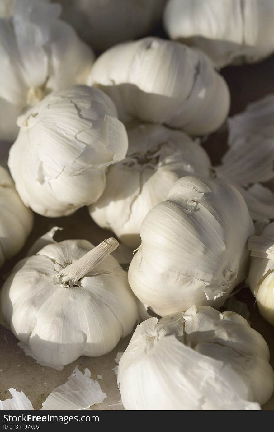 Garlic - close up