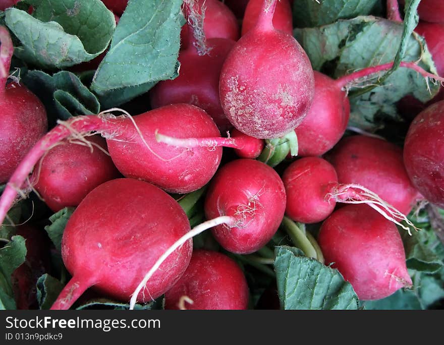 Detail of Organic Radishes at Farmers Market. Detail of Organic Radishes at Farmers Market