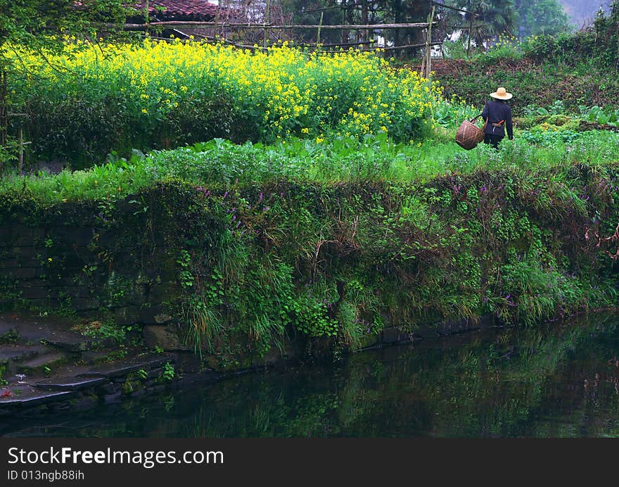 Spring is coming in chinese village