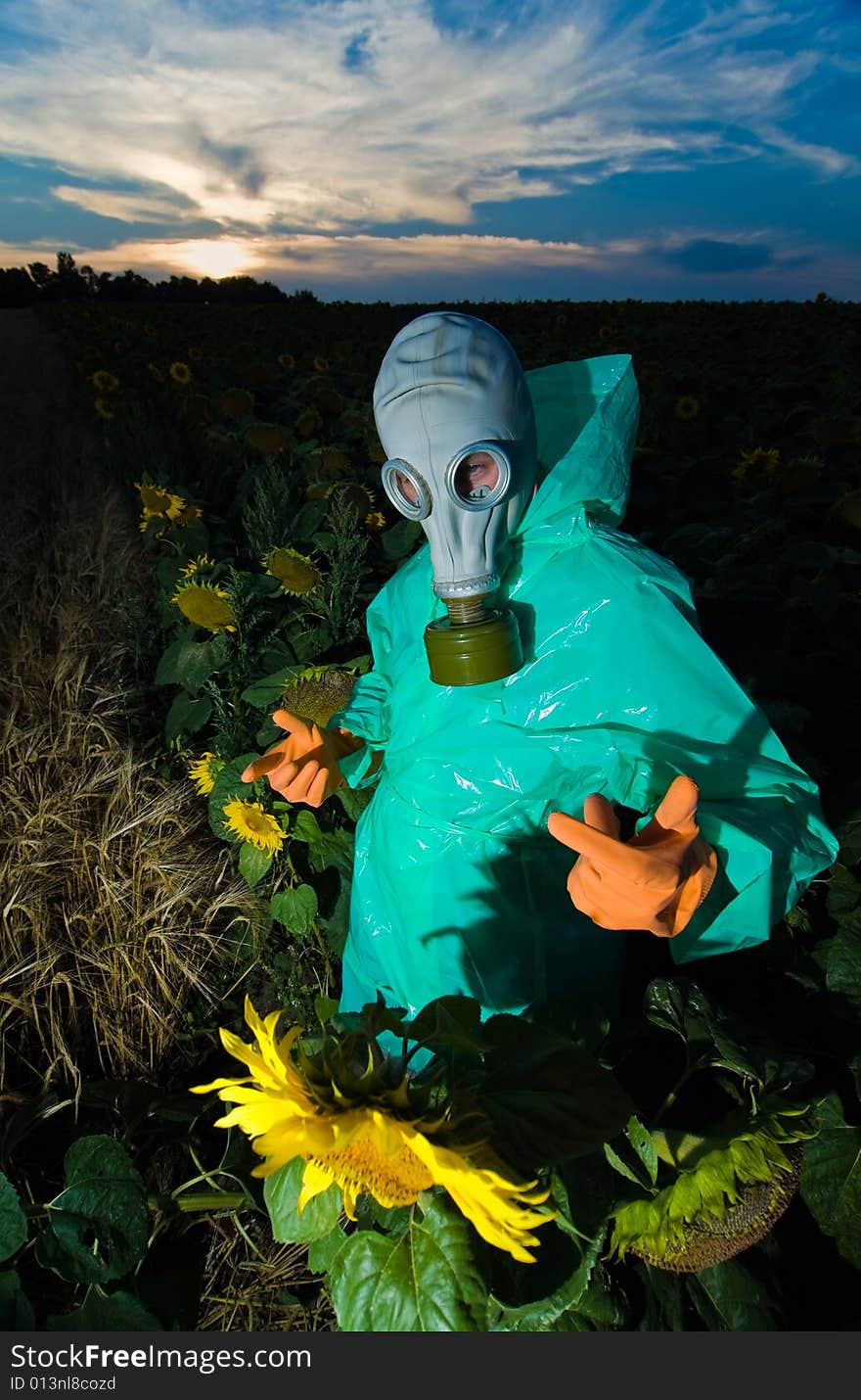 Man in protective suits and gas mask on sunflower field. Man in protective suits and gas mask on sunflower field