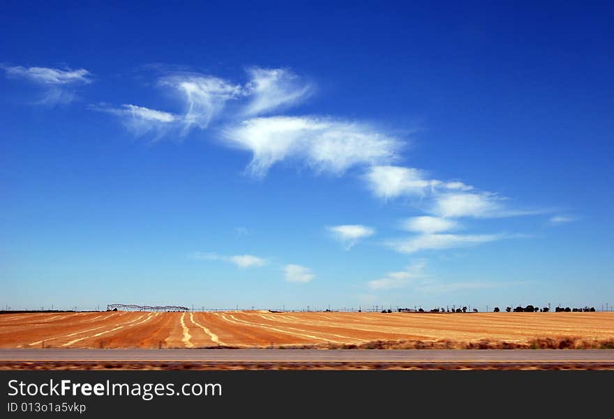 Golden field, blue sky and clouds