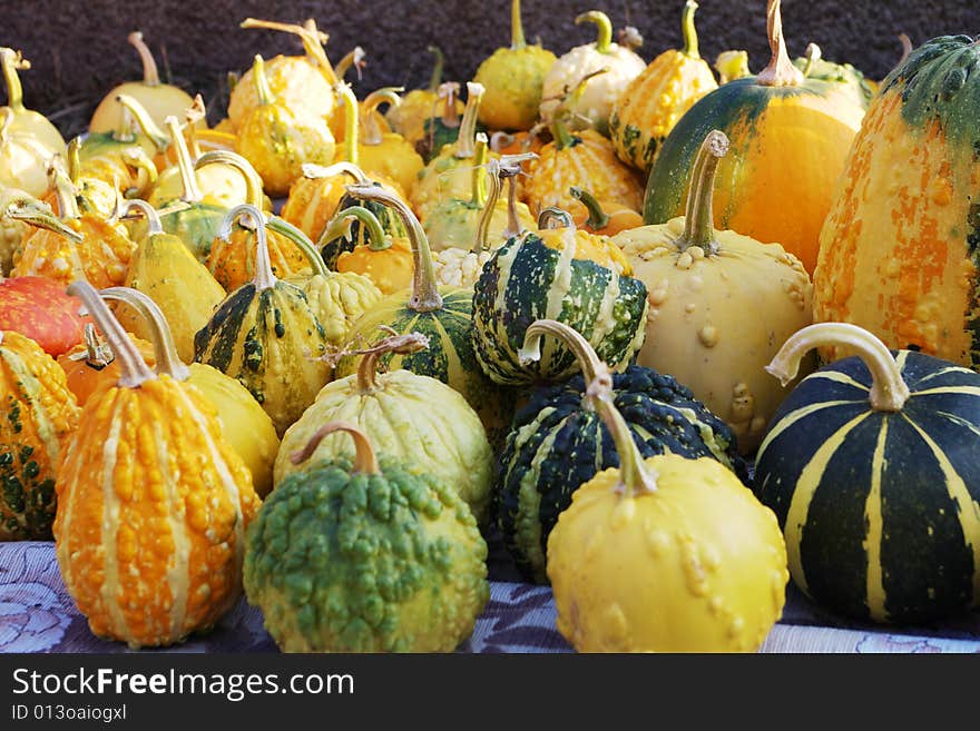 Halloween pumpkins in the grass