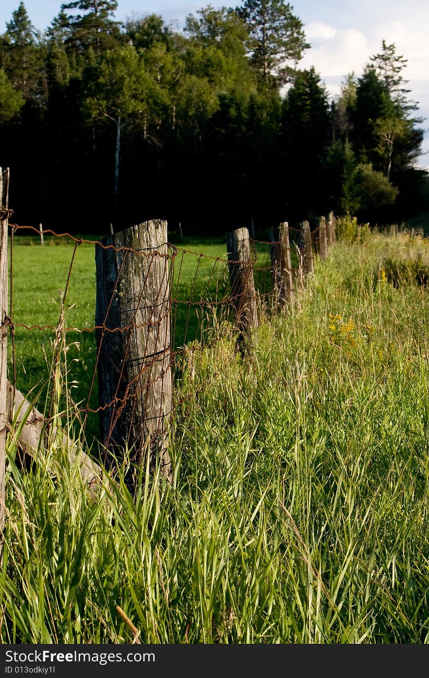 An old wire fence divides a cultivated field from a wild field