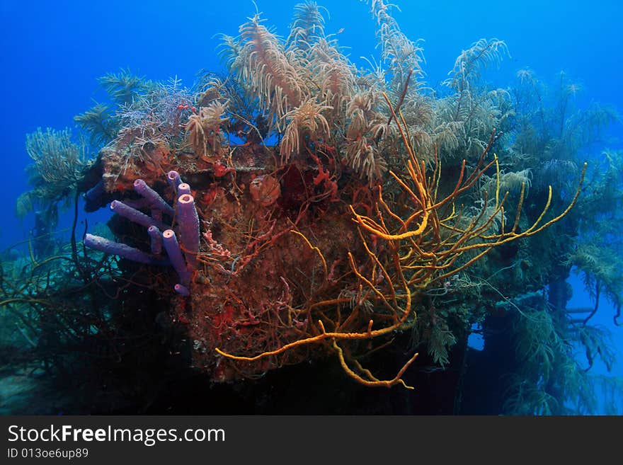 Underwater wreck of the price albert covered with coral