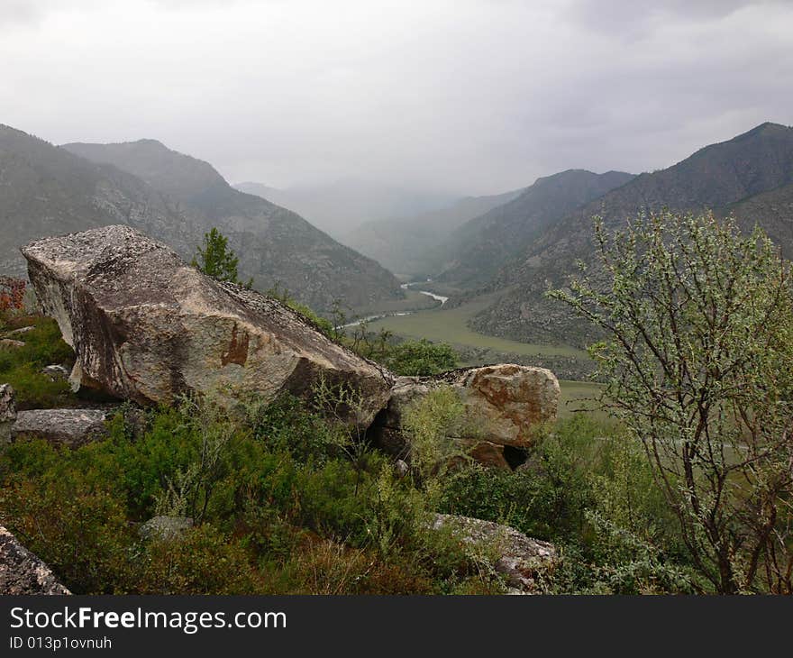 The Stone and tree on declivity of the mountain. The Stone and tree on declivity of the mountain