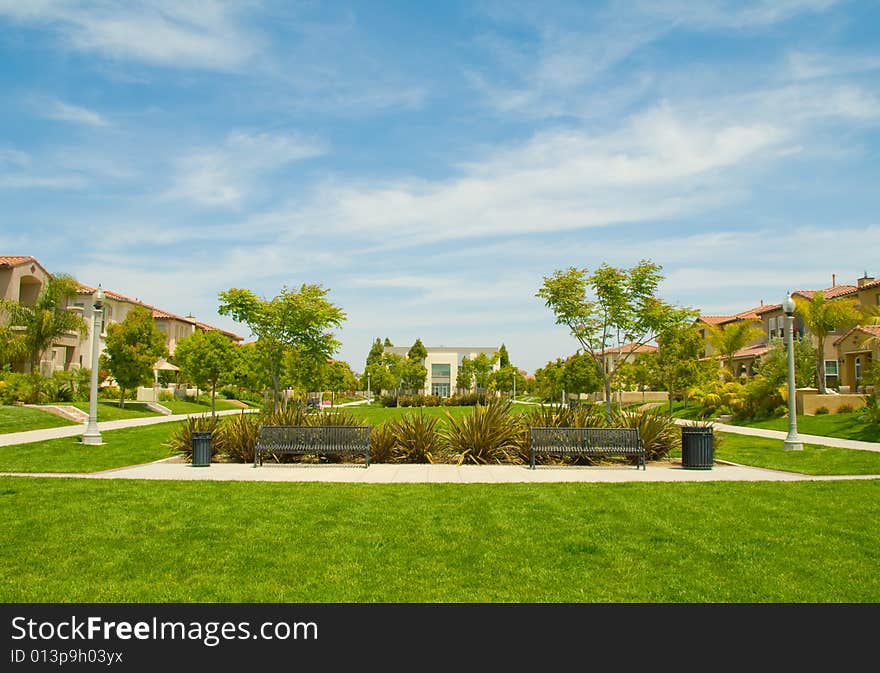 Urban Park Among Houses