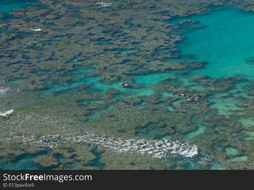 Snorkeling over coral reef of Hanauma Bay, Hawaii. Snorkeling over coral reef of Hanauma Bay, Hawaii