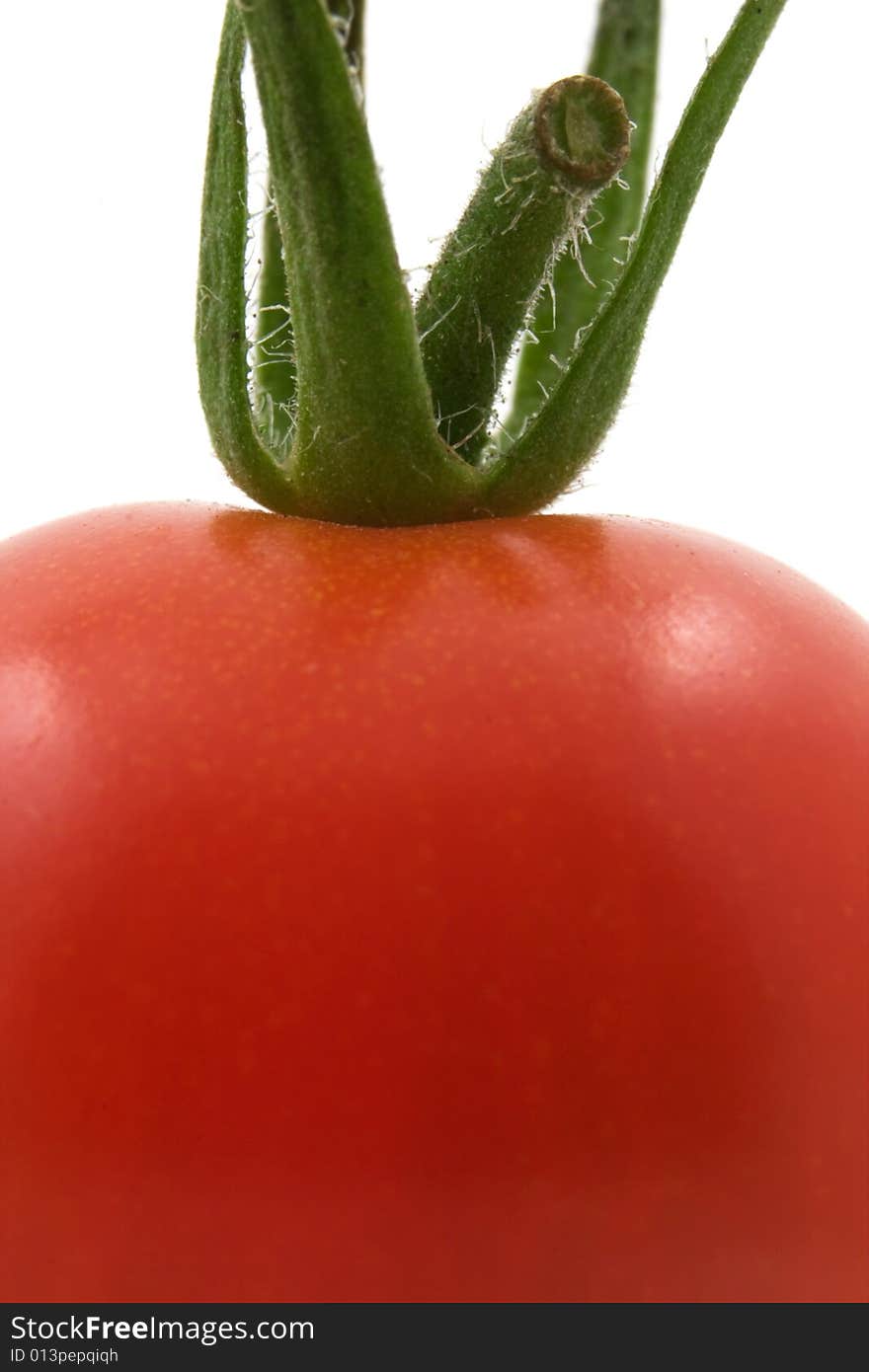 Macro image of a tomato set against a white backdrop. Macro image of a tomato set against a white backdrop