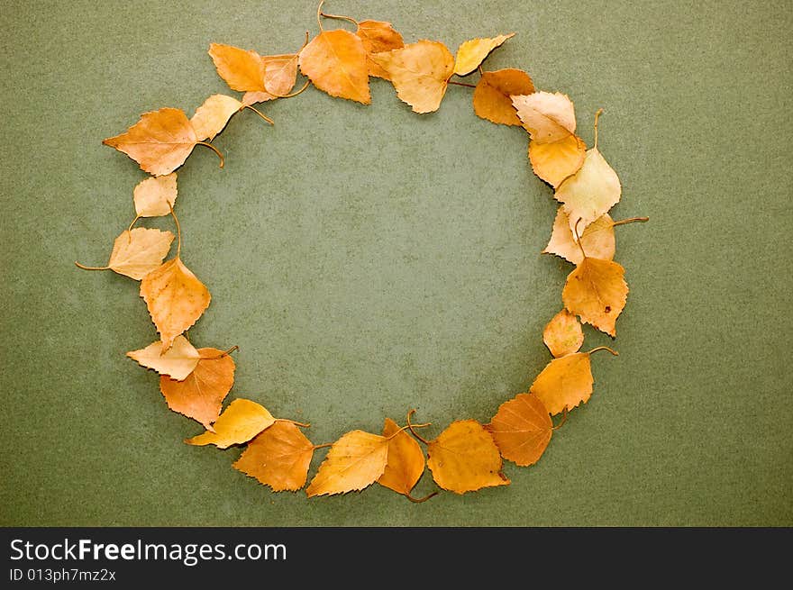 Autumn leaves