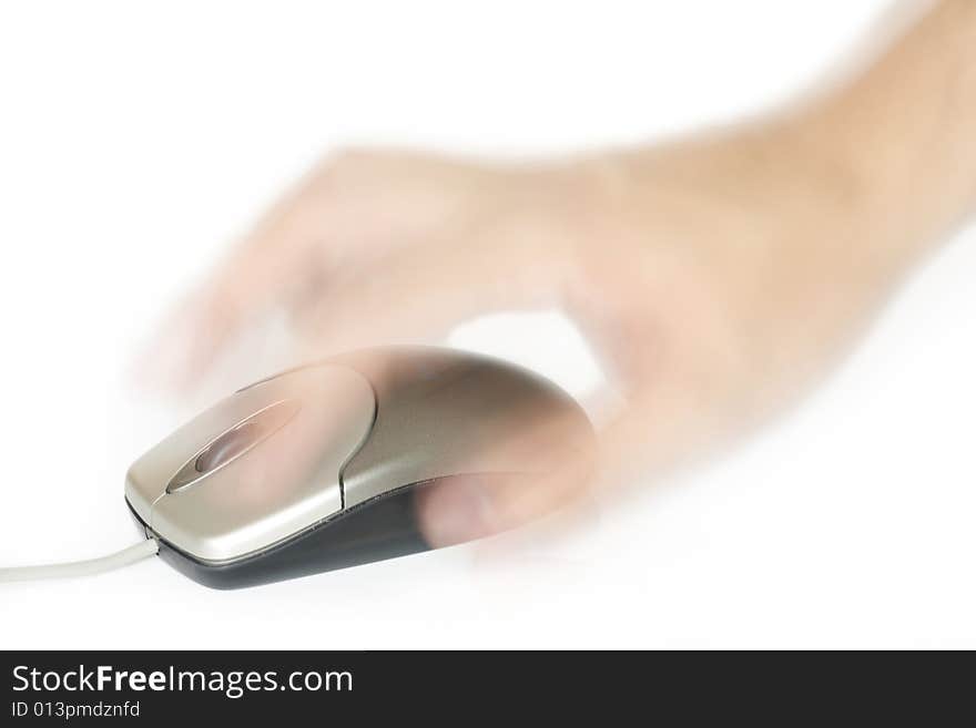 Computer mouse on a white background