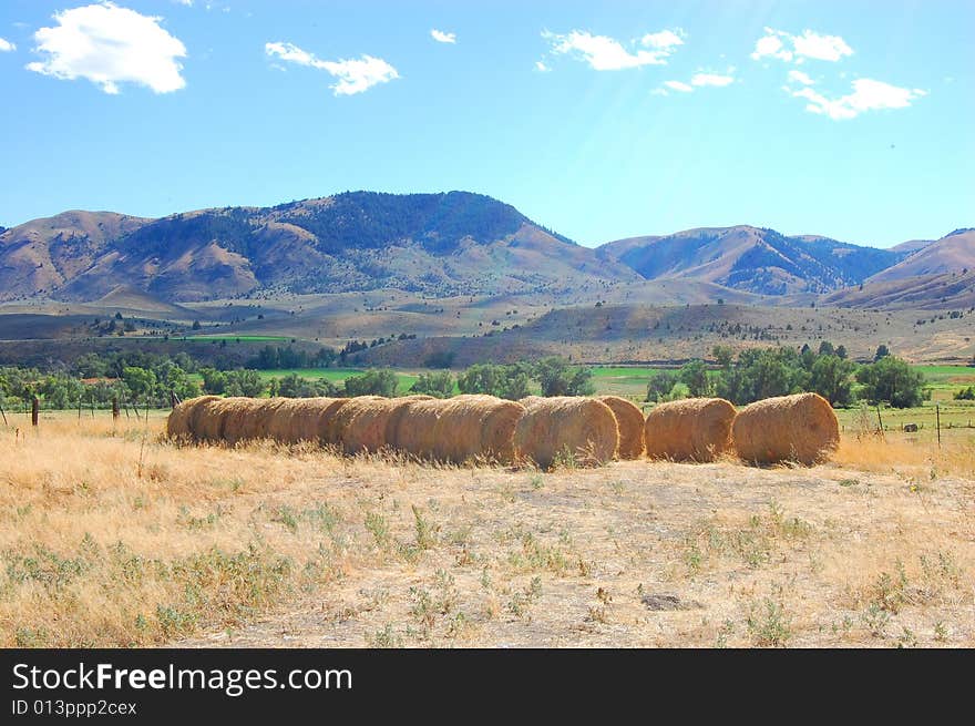 Hay Bales In Eastern Oregon