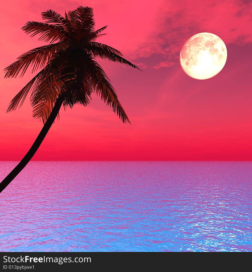 Sunset coconut palm tree on ocean coast - digital artwork.